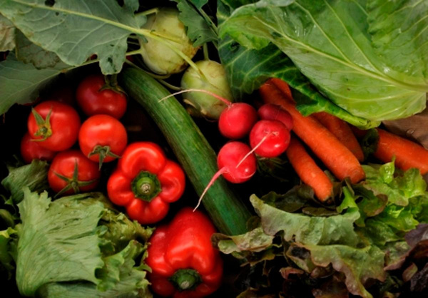 Hofkiste "Rohkost" (M)