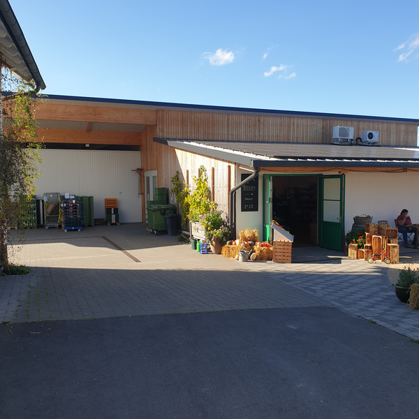 KI generiert: Ein Hofladen mit Gemüsekisten und Pflanzen vor dem Eingang bei sonnigem Wetter.