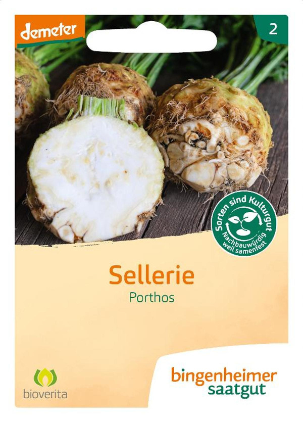 Produktfoto zu Knollensellerie Porthos – Saatgut