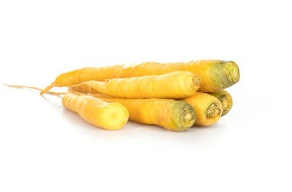 Produktfoto zu Möhren "Gelbe Marie"