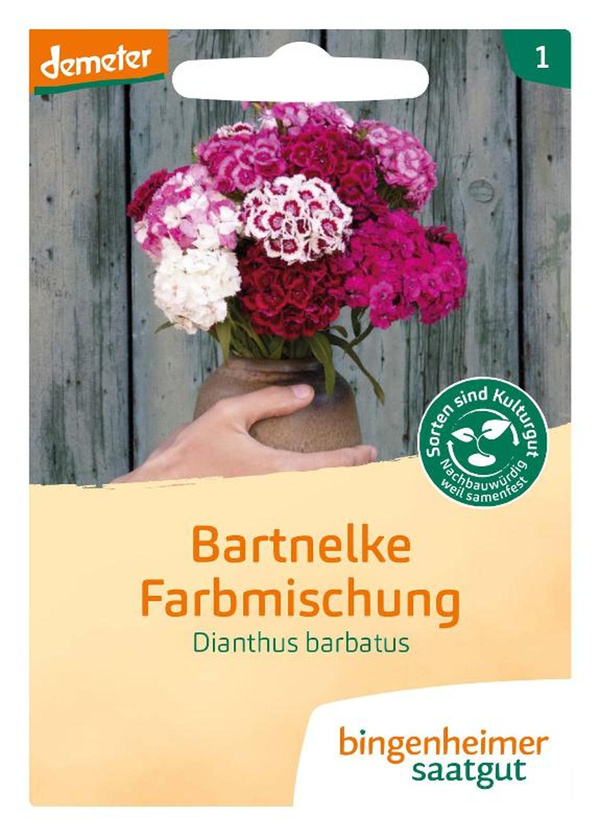 Produktfoto zu Bartnelke Farbmischung – Saatgut