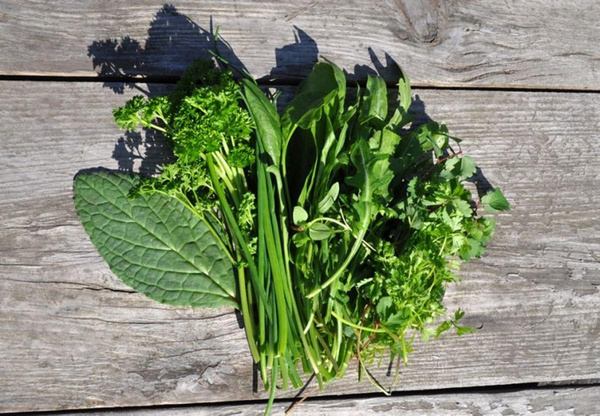 Produktfoto zu Kräuter für Grüne Soße (ca.150 g) – frisch & aromatisch