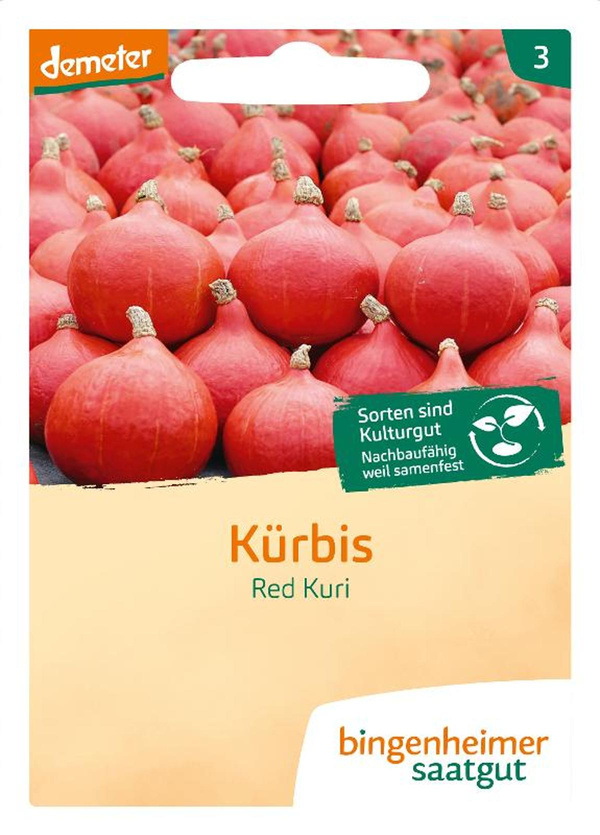 Produktfoto zu Hokkaido Kürbis Red Kuri – Saatgut