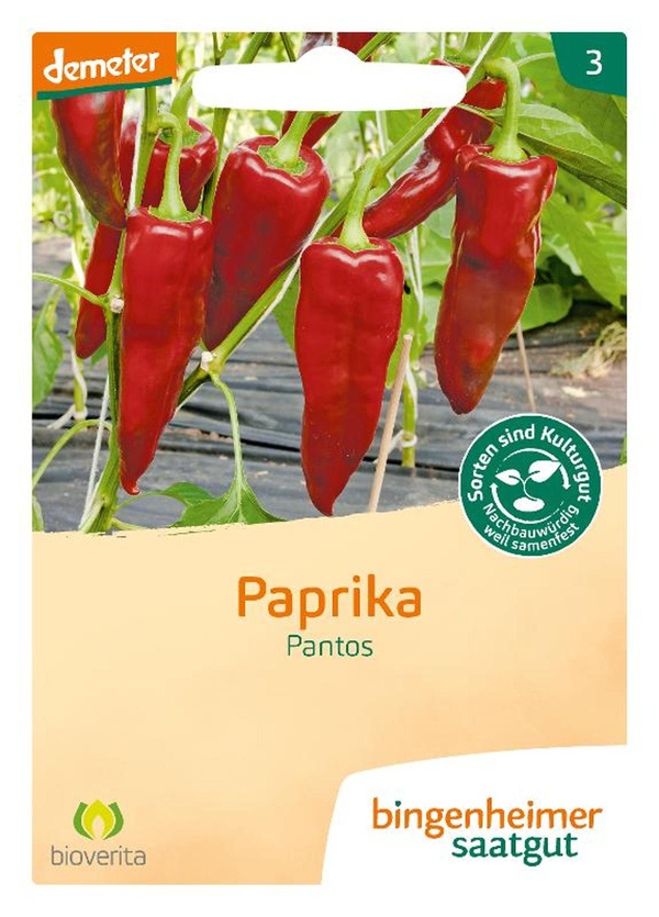 Produktfoto zu Paprika Pantos – Saatgut