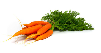 Produktfoto zu Bundmöhren – süß & knackig (ca. 400 g)