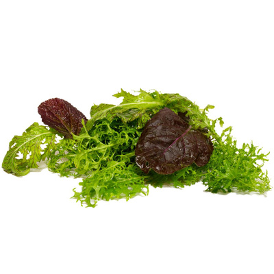 Produktfoto zu Pflücksalat Asia-Salat 100 g | Hüsgen