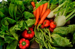 Produktfoto zu Hofkiste "Vollsortiment" (S1)