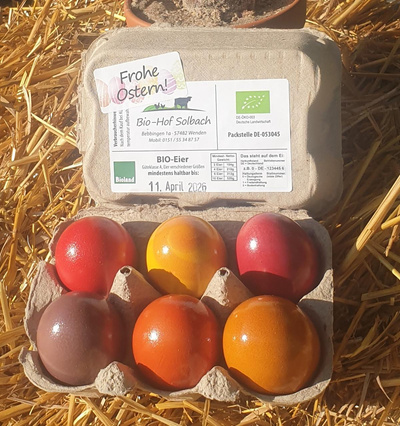 Produktfoto zu Bunte Eier 6er Biolandhof Solbach Gr S-L