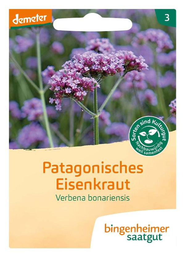 Produktfoto zu Patagonisches Eisenkraut – Saatgut