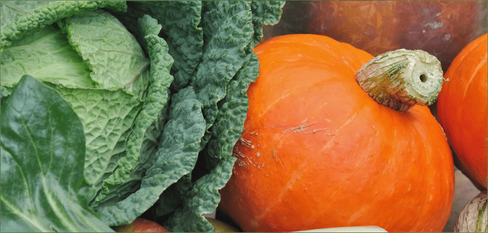 Frau isst Salat, Energie, gesunde Ernährung