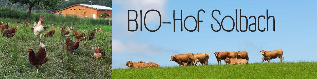 KI generiert: Hühner und Kühe auf einer Wiese, Text: "BIO-Hof Solbach".