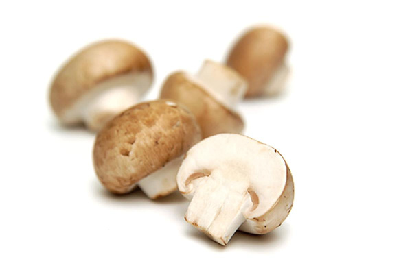 Produktfoto zu Steinchampignons 250g