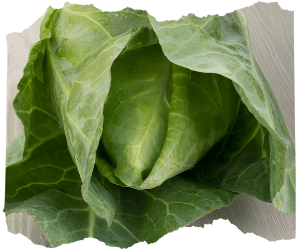 KI generiert: Ein frischer, grüner Kohlkopf mit großen, blattreichen Blättern.