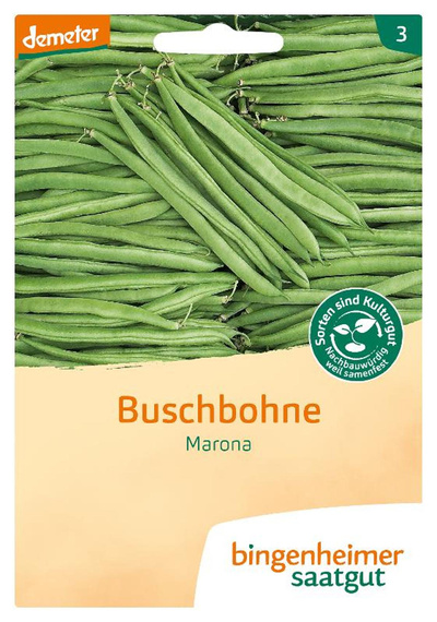 Produktfoto zu Buschbohne Marona – Saatgut