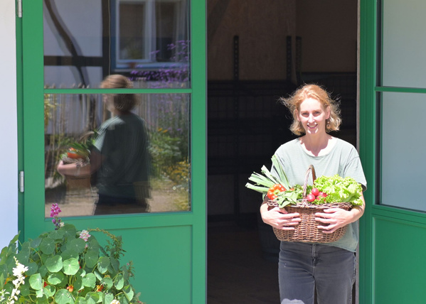 KI generiert: Eine Person trägt einen Korb voller Gemüse durch eine grüne Tür.