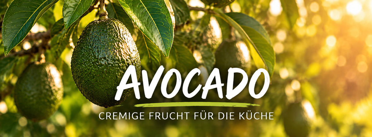 Reife Avocados hängen an einem Avocadobaum im warmen Sonnenlicht, mit Schriftzug „Avocado – tropische Frucht für die Küche“