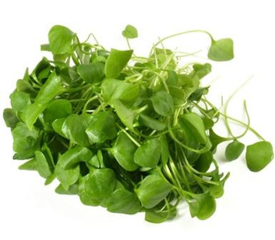 Produktfoto zu Postelein Salat (100 g) | Hüsgen