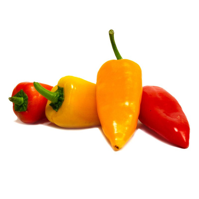 Produktfoto zu Mini Paprika Mix 100g