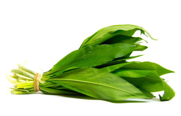 Produktfoto zu Bärlauch im Bund ca.50g