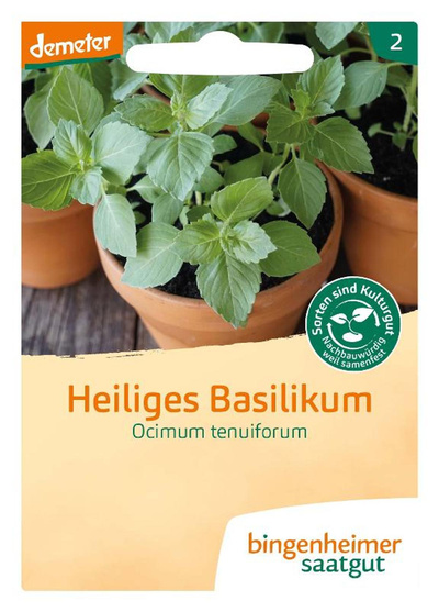 Produktfoto zu Heiliges Basilikum – Saatgut