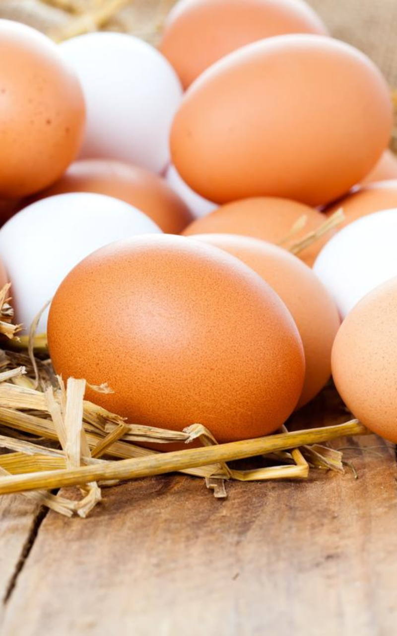 Eier