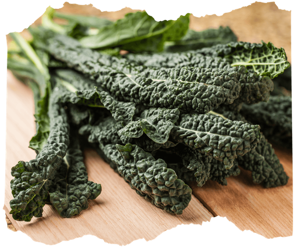 KI generiert: Ein Bündel Schwarzkohlblätter liegt auf einem Holztisch.