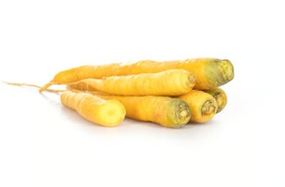 Produktfoto zu Möhren "Gelbe Marie"