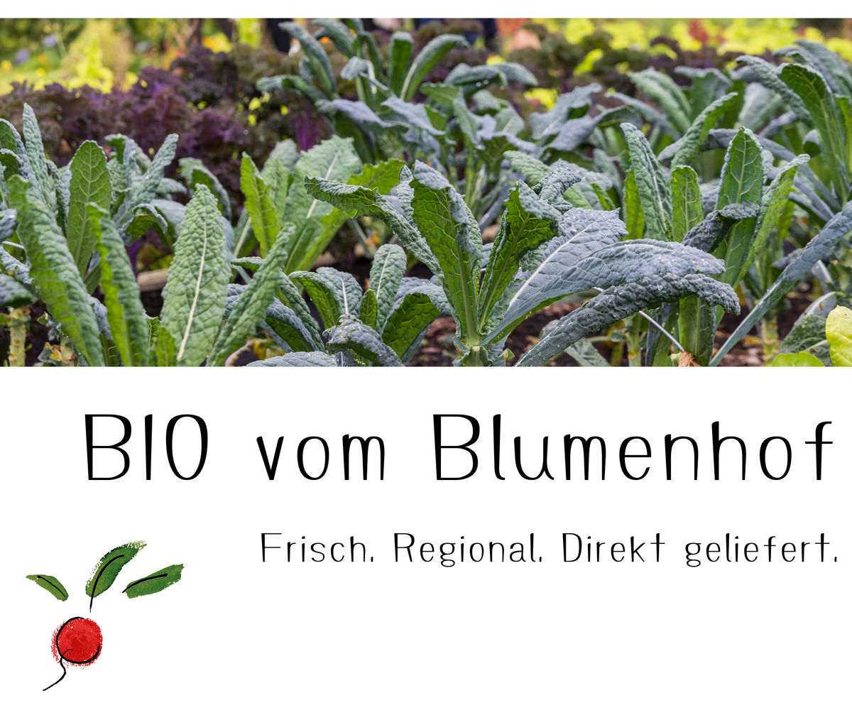 Die Hofkiste – Bio-Lieferservice für frische Lebensmittel aus der Region Eitorf