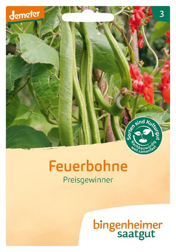 Produktfoto zu Feuerbohne – Saatgut
