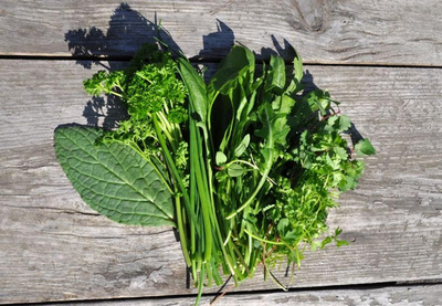 Produktfoto zu Kräuter für Grüne Soße (ca.150 g) – frisch & aromatisch