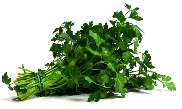 Produktfoto zu Petersilie glatt im Bund  (ca. 45 g) | Bois