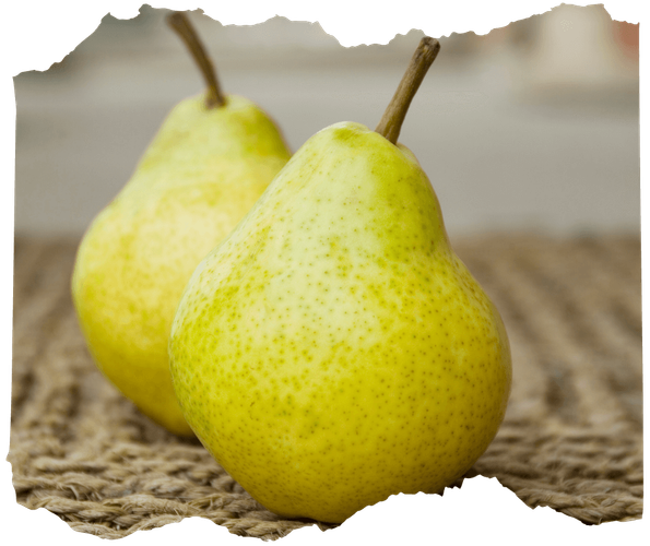 KI generiert: Zwei gelbe Birnen liegen auf einer geflochtenen Unterlage.