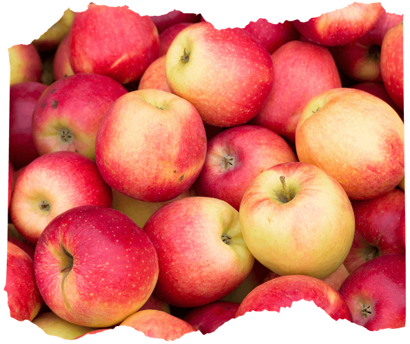 KI generiert: Ein Haufen roter Äpfel in verschiedenen Größen und Farbtönen.