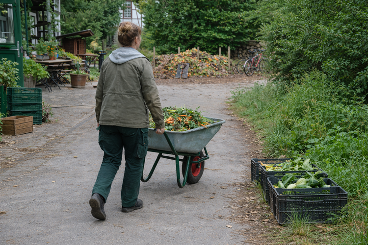 KI generiert: Eine Person schiebt eine Schubkarre mit Gemüse auf einem ländlichen Weg.