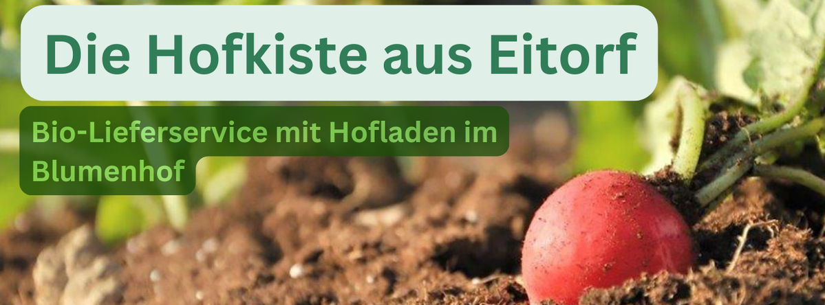KI generiert: Ein Radieschen in Erde. Text: "Die Hofkiste aus Eitorf. Bio-Lieferservice mit Hofladen im Blumenhof."