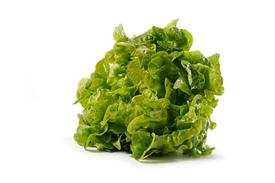 Produktfoto zu Eichblatt grün (ca. 250 g) | Hüsgen