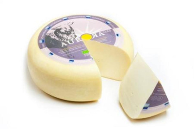 Produktfoto zu Schaf Gouda jung,  Aurora Gold