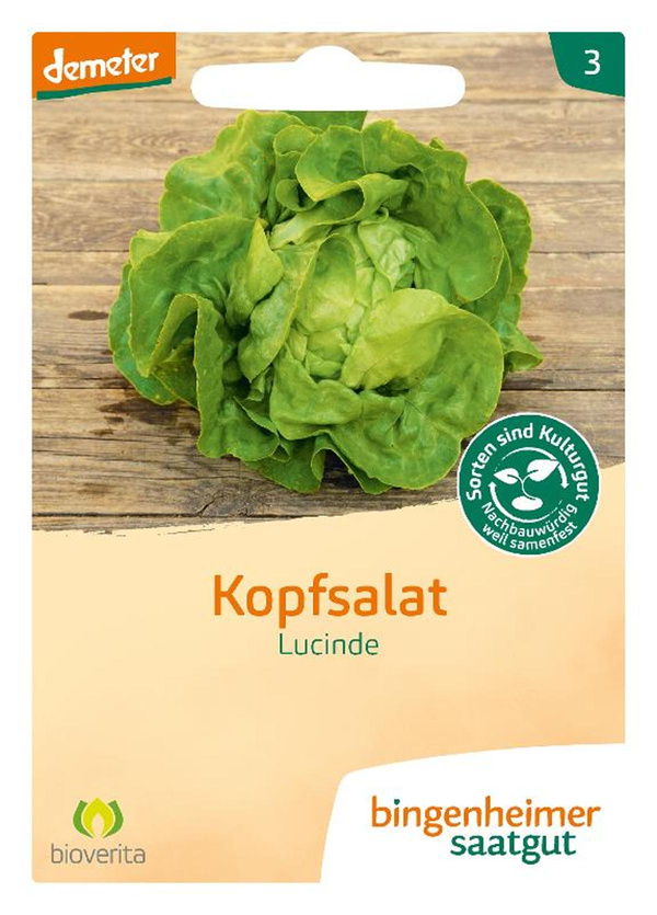 Produktfoto zu Kopfsalat Lucinde – Saatgut