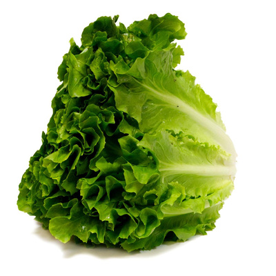 Produktfoto zu Endivien Salat (ca. 350 g)