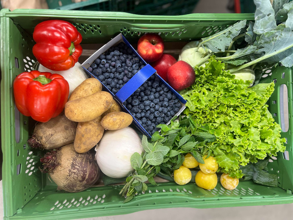KI generiert: Eine grüne Kiste voller Gemüse und Obst, darunter Paprika, Heidelbeeren, Salat und Äpfel.