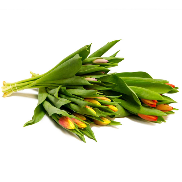 Produktfoto zu Tulpenstrauß diverse Farben