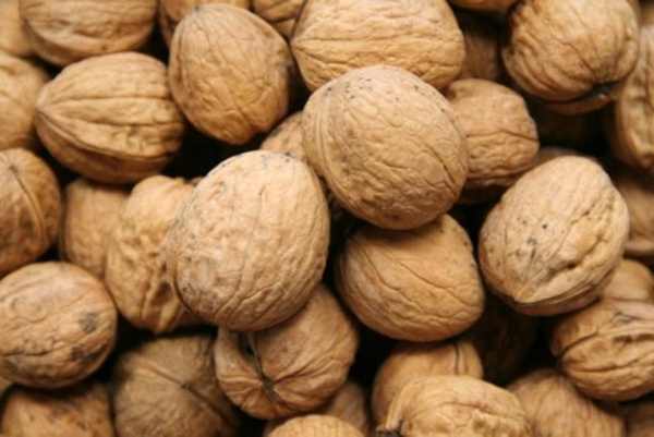 Produktfoto zu Walnüsse Grenoble (100 g)
