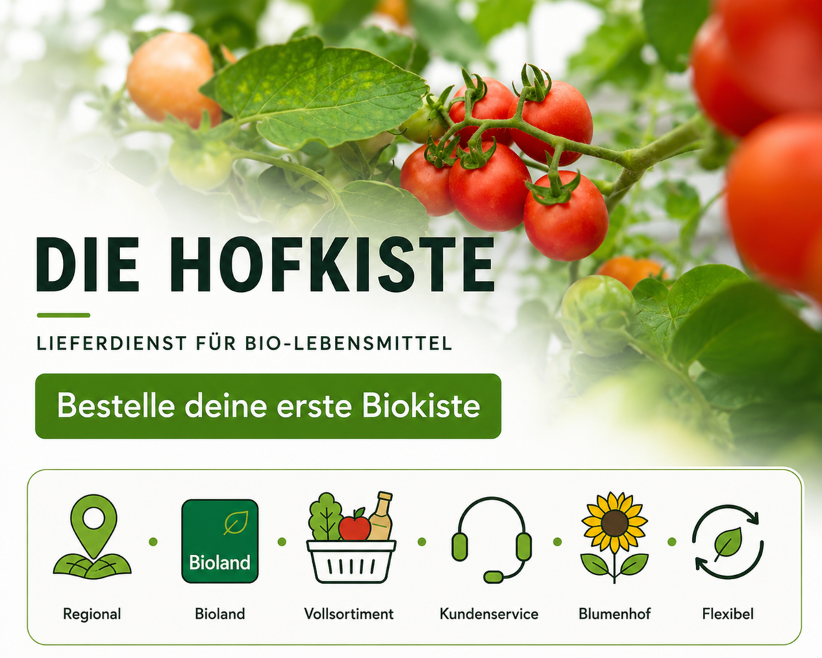 KI generiert: Tomaten und Text "DIE HOFKISTE: LIEFERDIENST FÜR BIO-LEBENSMITTEL. Bestelle deine erste Biokiste." Icons darunter.