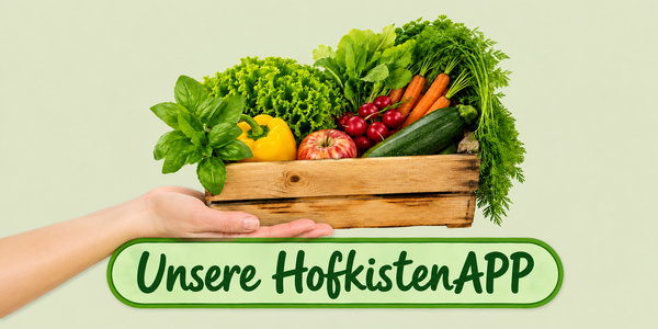 Gemüsekiste mit Salat, Möhren, Radieschen, Zucchini und weiterem Bio-Gemüse