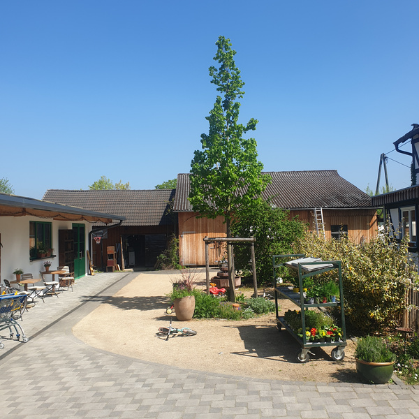 KI generiert: Hof bei klarem Himmel, mit Pflanzen und Sitzplätzen, ein Wägelchen mit Pflanzen im Vordergrund.