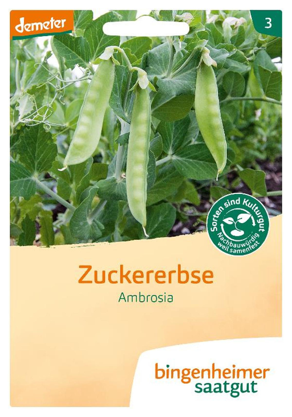 Produktfoto zu Zuckererbse Ambrosia – Saatgut