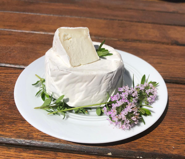 Produktfoto zu Schafcamembert – cremiger Rohmilchgenuss von den Wiedtalhöfen