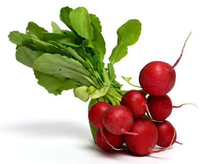 Produktfoto zu Radieschen im Bund aus Deutschland