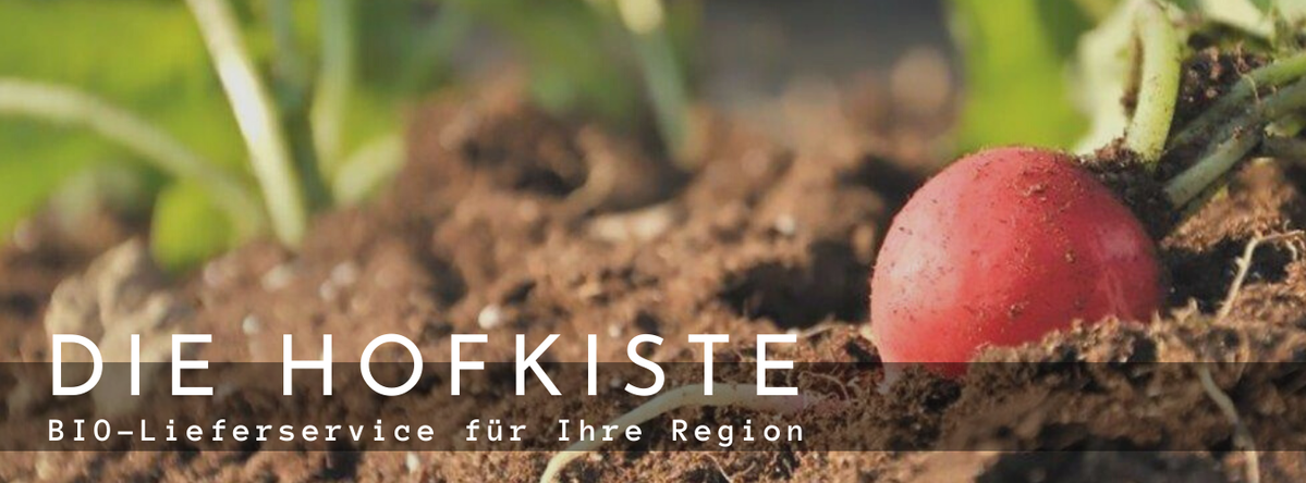 KI generiert: Radieschen im Boden, Text: "DIE HOFKISTE BIO-Lieferservice für Ihre Region".
