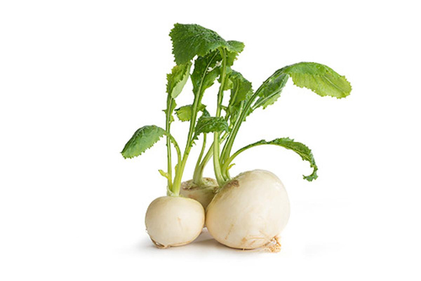 Produktfoto zu Mai Rübchen mit Laub, mit Schalenfehlern und Fraßspuren am Laub
